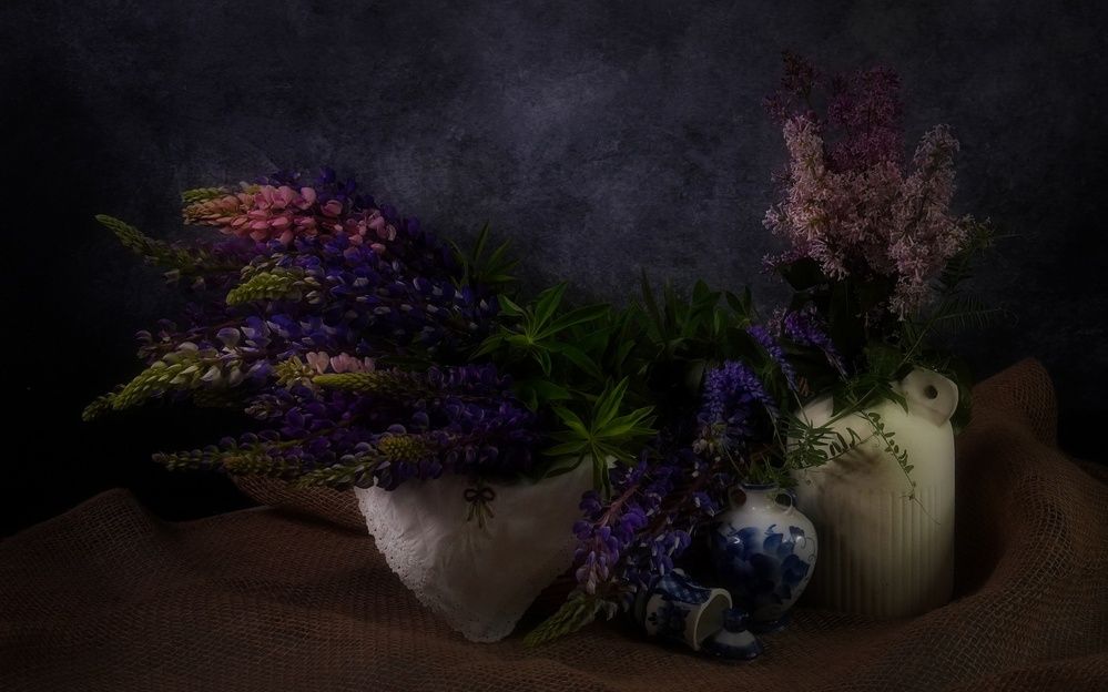 Photograph by Екатерина Молчанова