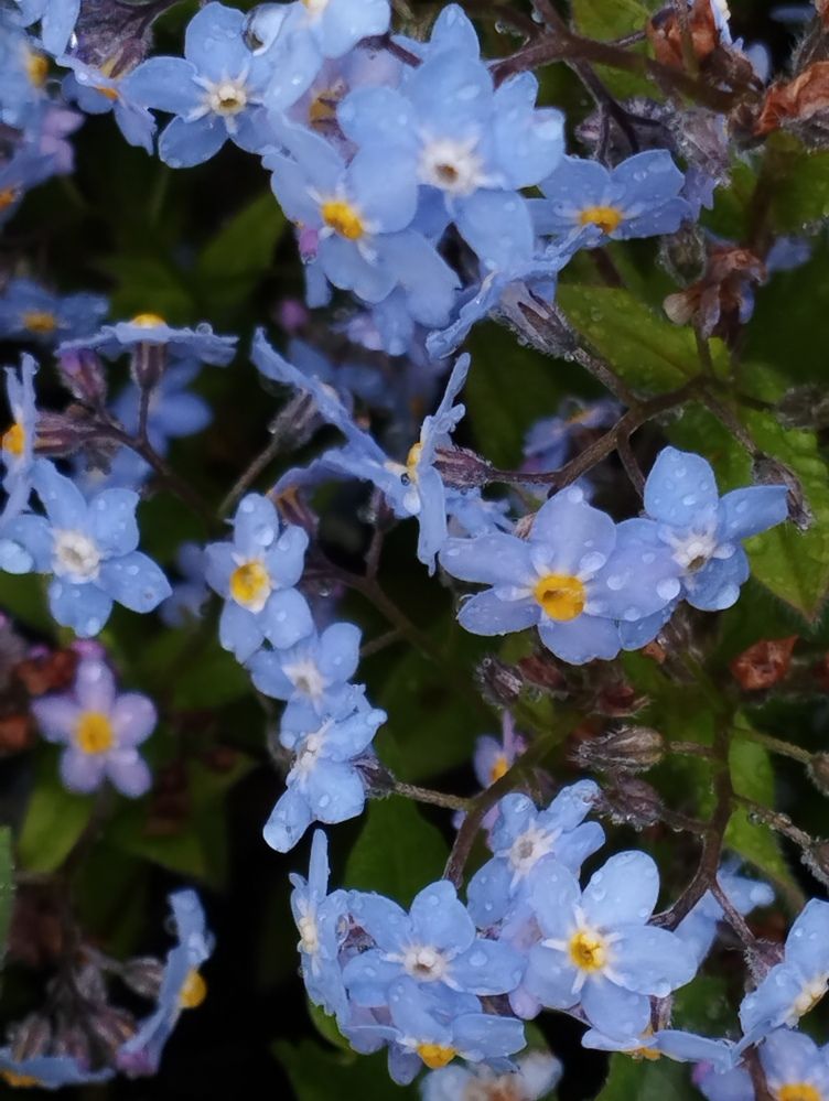 Photograph by Ия Дирко