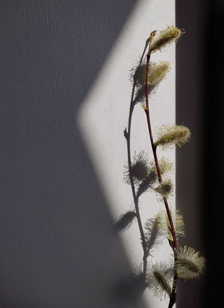 Photograph by Оксана Лоншакова