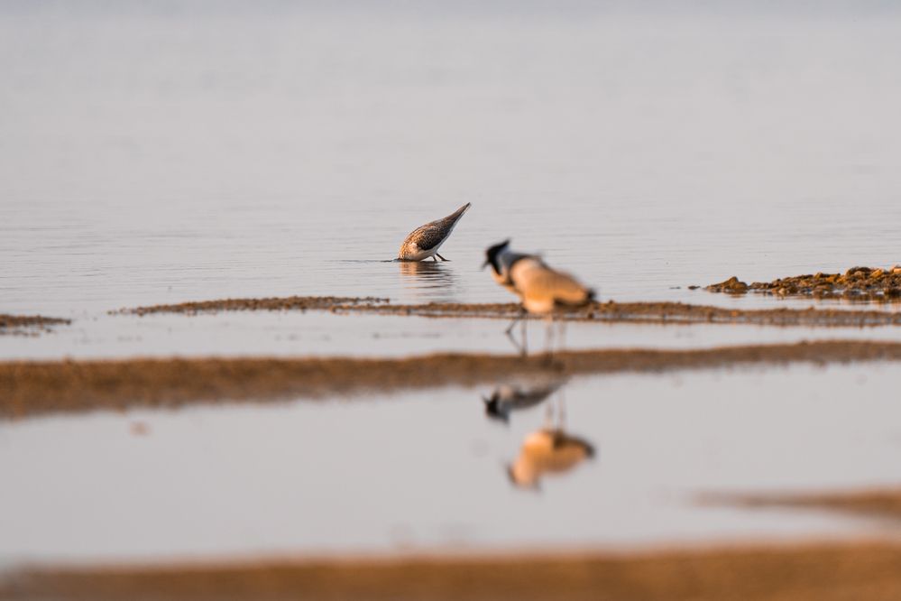 Don\'t take my photo