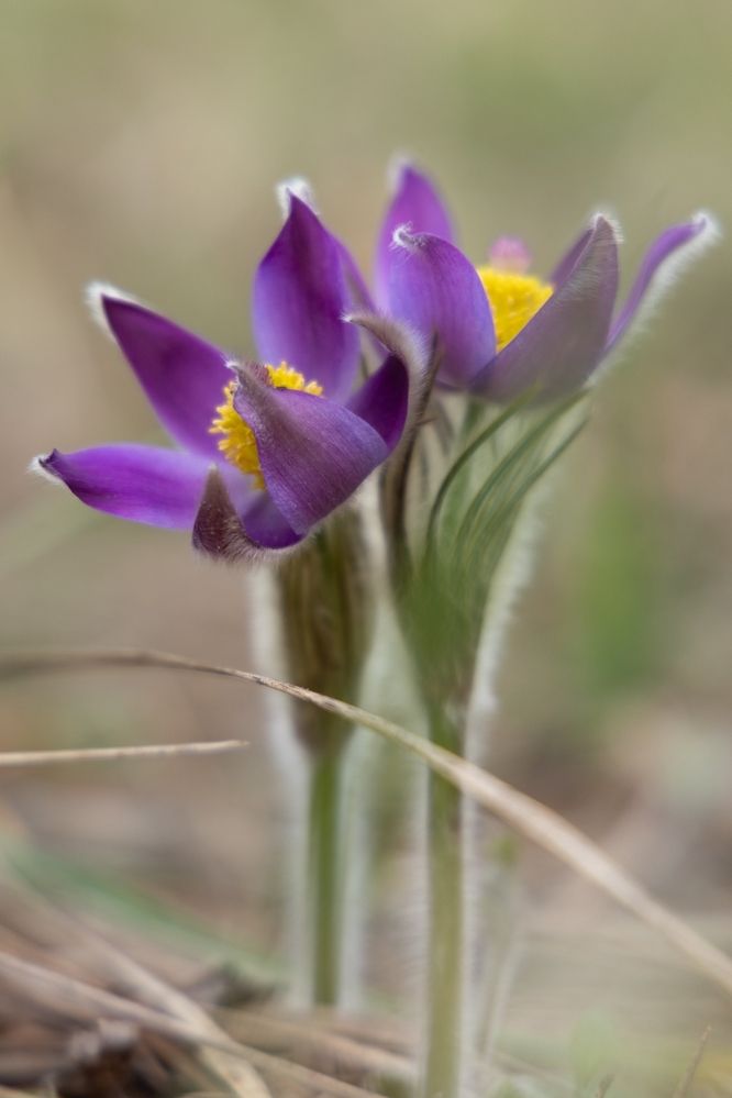 Photograph by Марина Иванникова