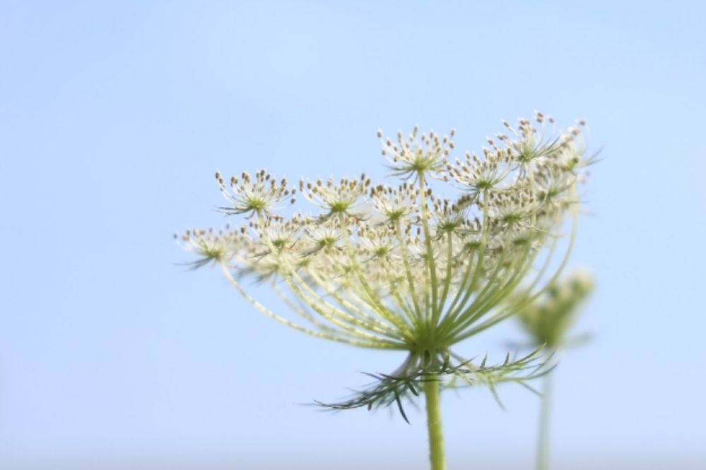 Photograph by Марина Иванникова