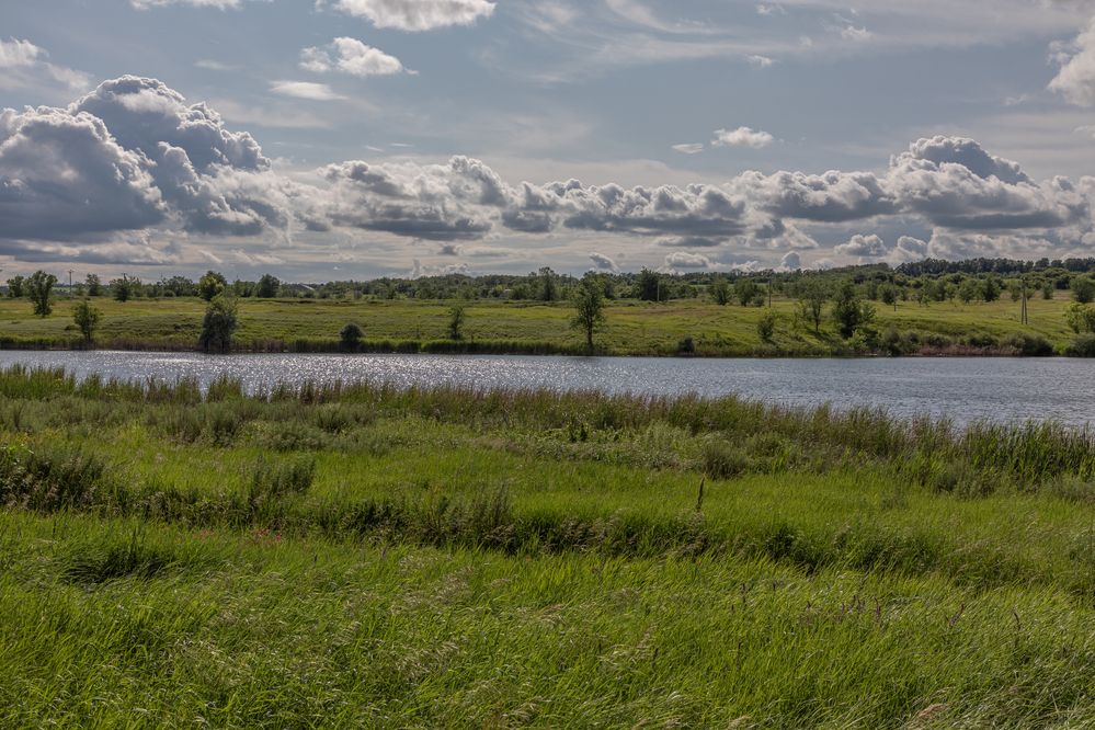 Photograph by Гузева Татьяна