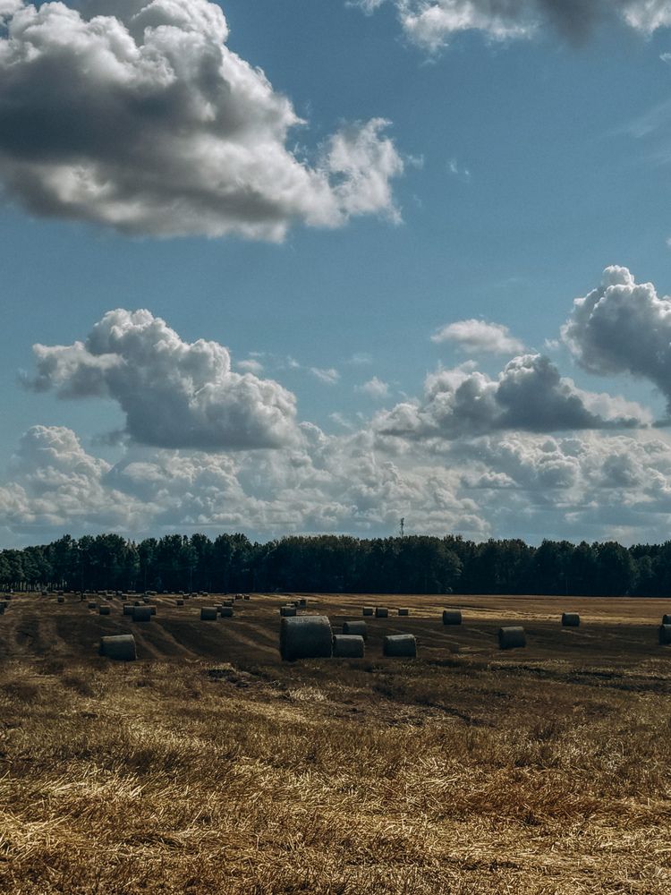 Photograph by Александра Кишикова
