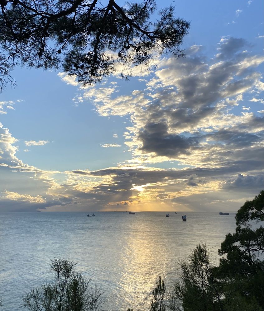 Photograph by Алиса Лукина