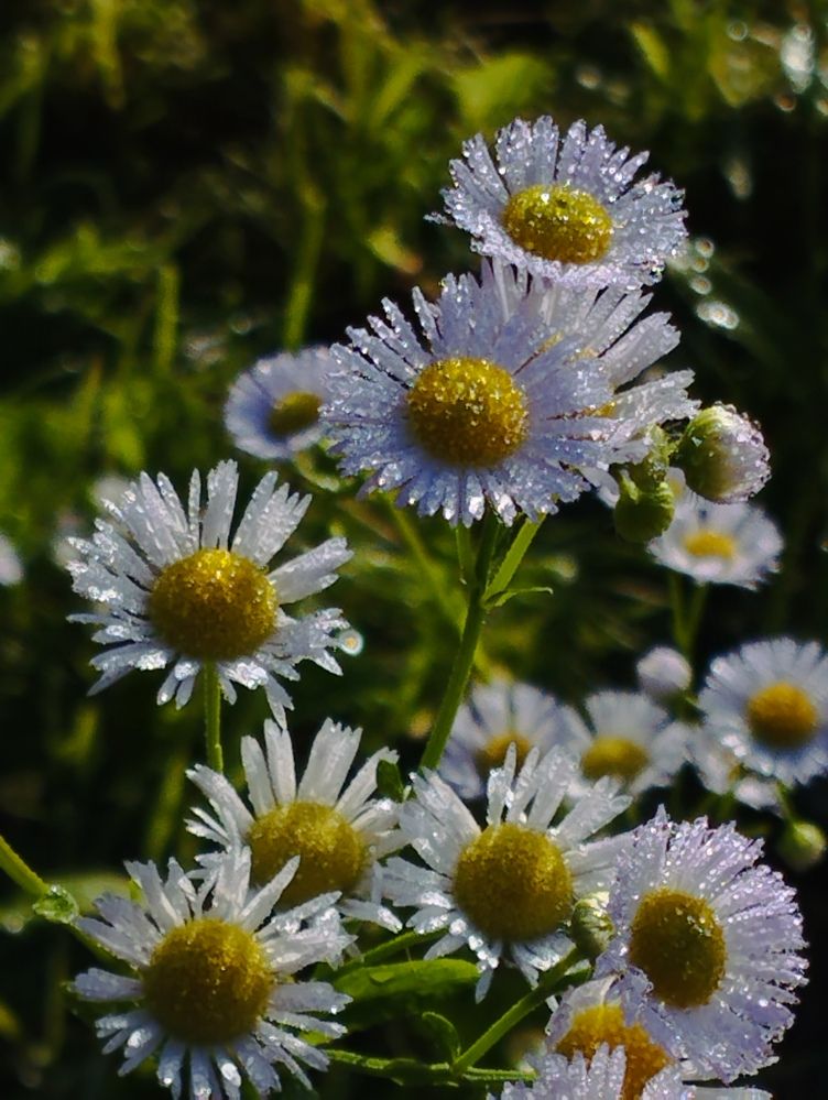 Photograph by Ия Дирко