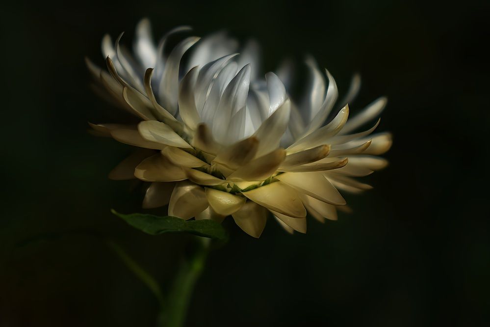 Photograph by Оксана Вадалагина