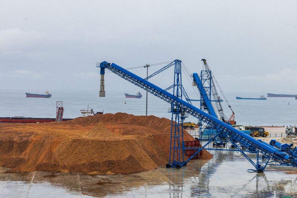 Фотография автора QUAN NGUYEN HUNG