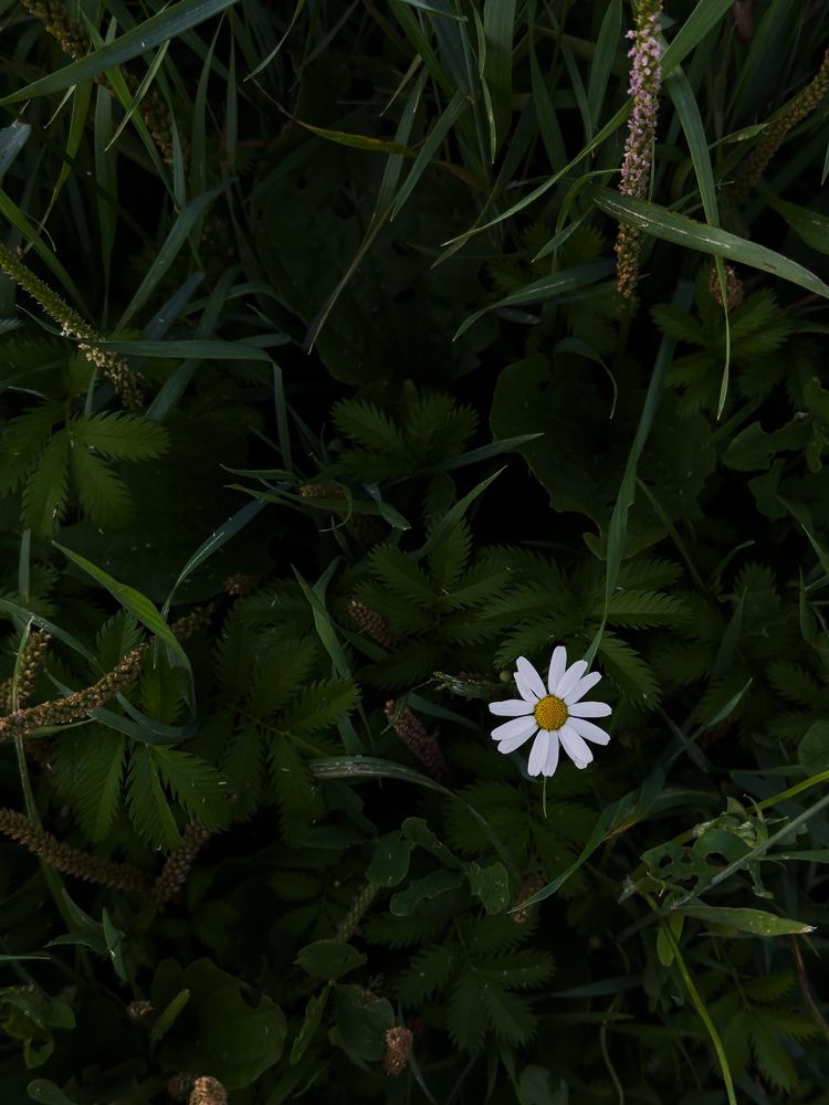 Photograph by Ася Жгенти