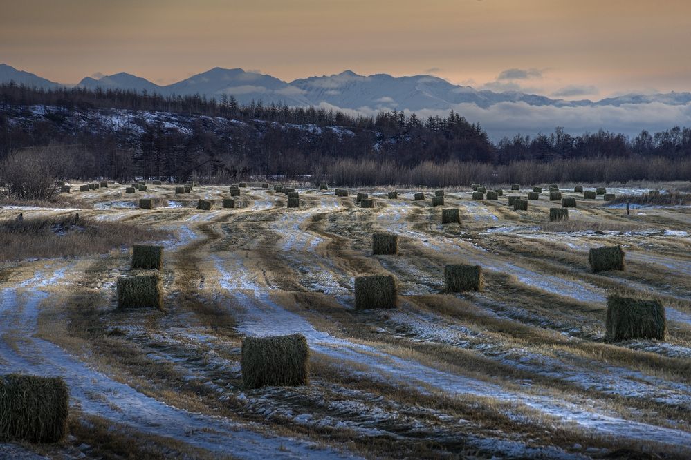 Photograph by Светлана Гореликова