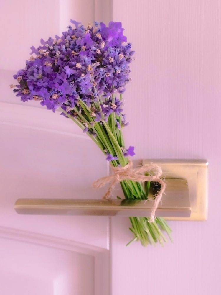 Photograph by Ия Дирко