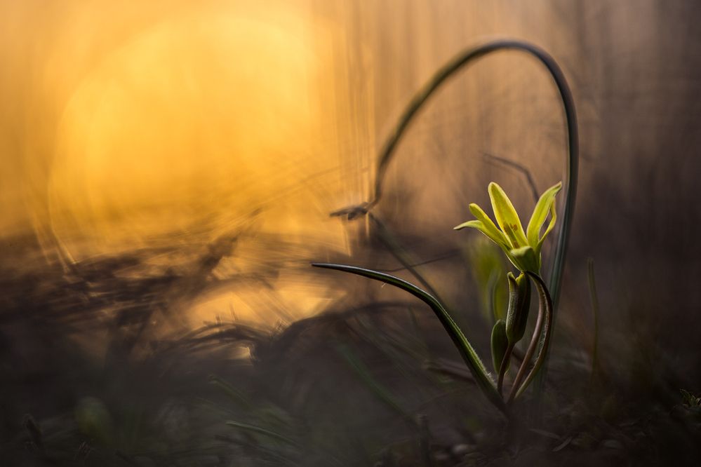 Photograph by Илья Михеев