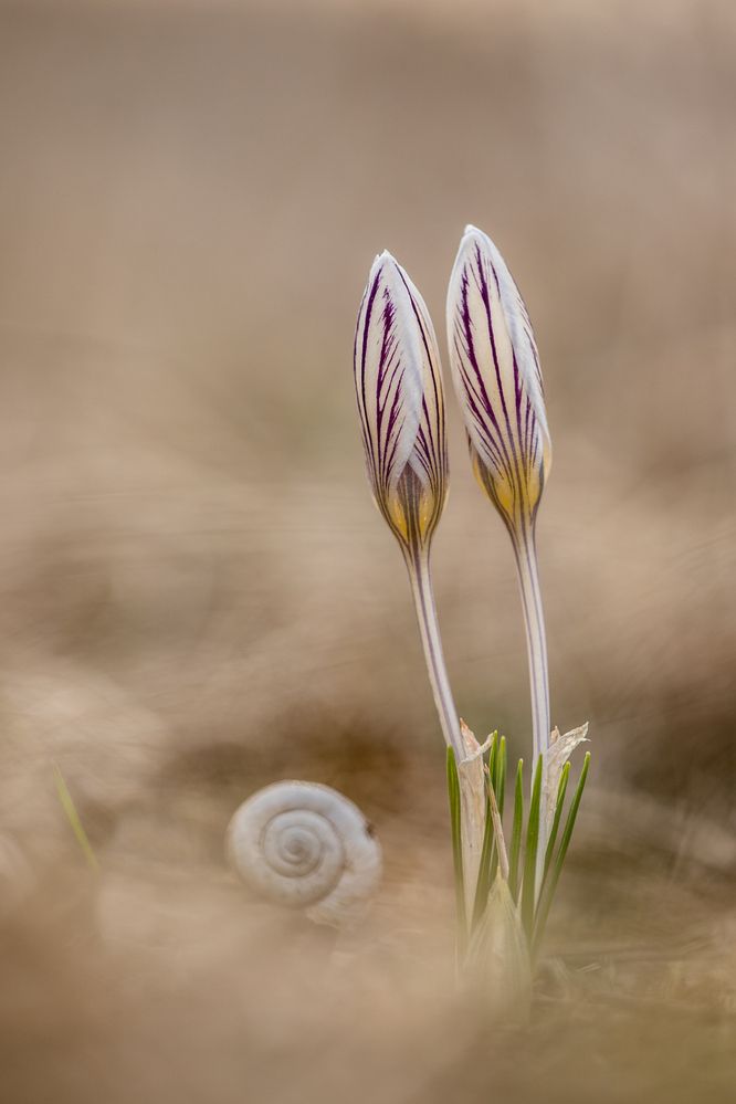 Photograph by Илья Михеев