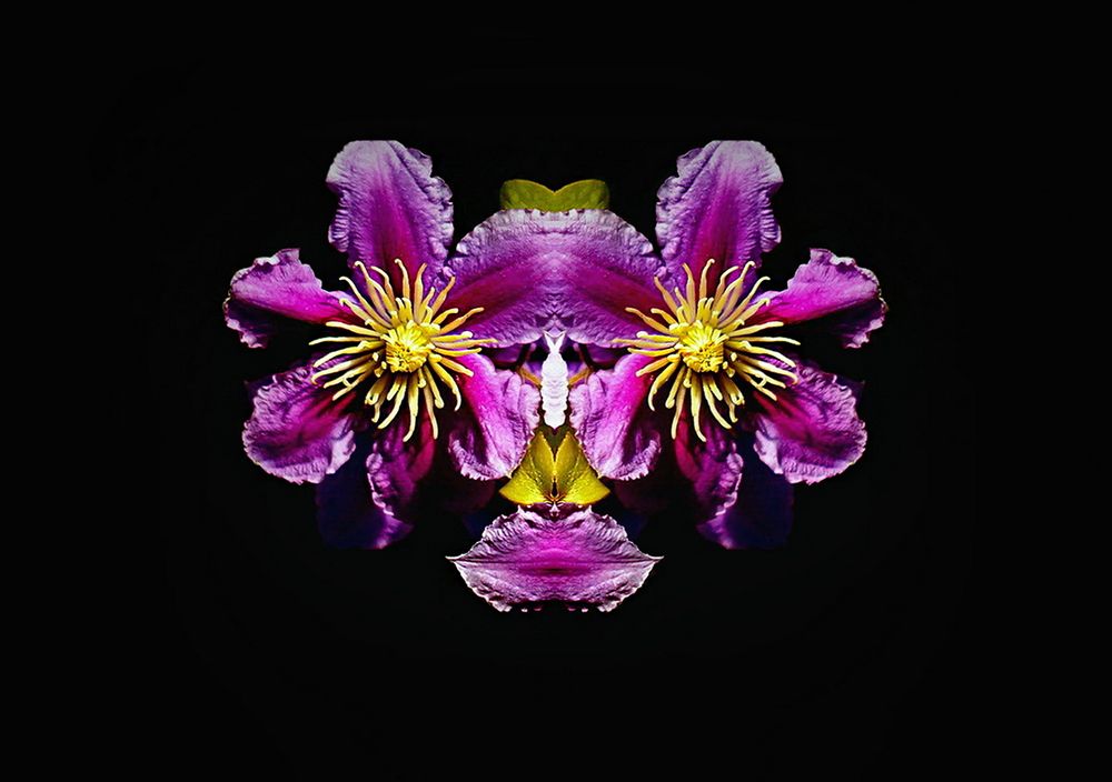 Фотография автора Е лена Е