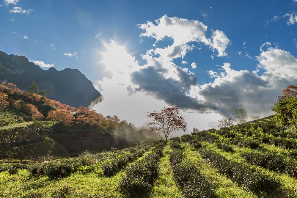 Фотография автора QUAN NGUYEN HUNG