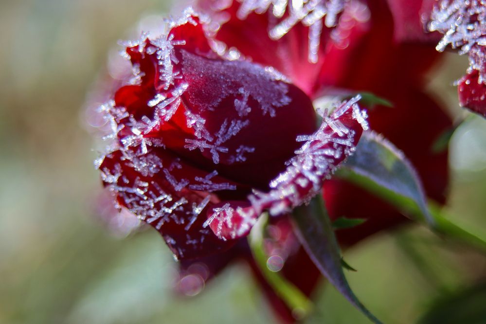 Photograph by Елена Рудкевич