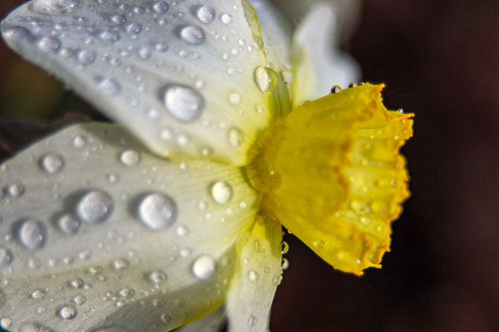 Photograph by Елена Рудкевич