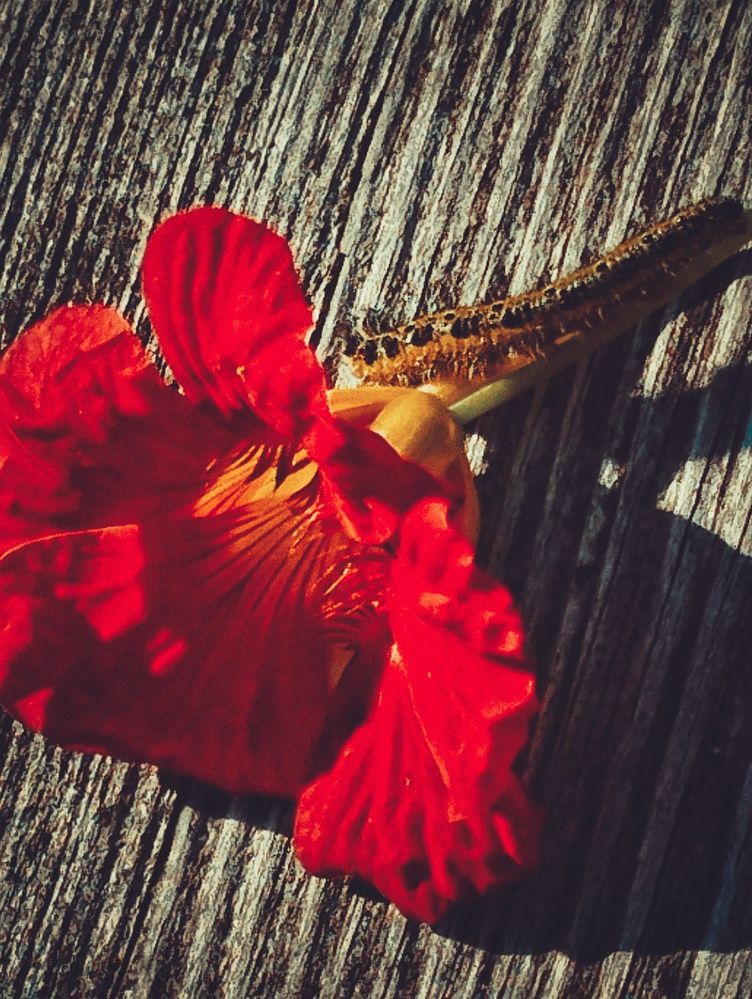 Photograph by Ия Дирко