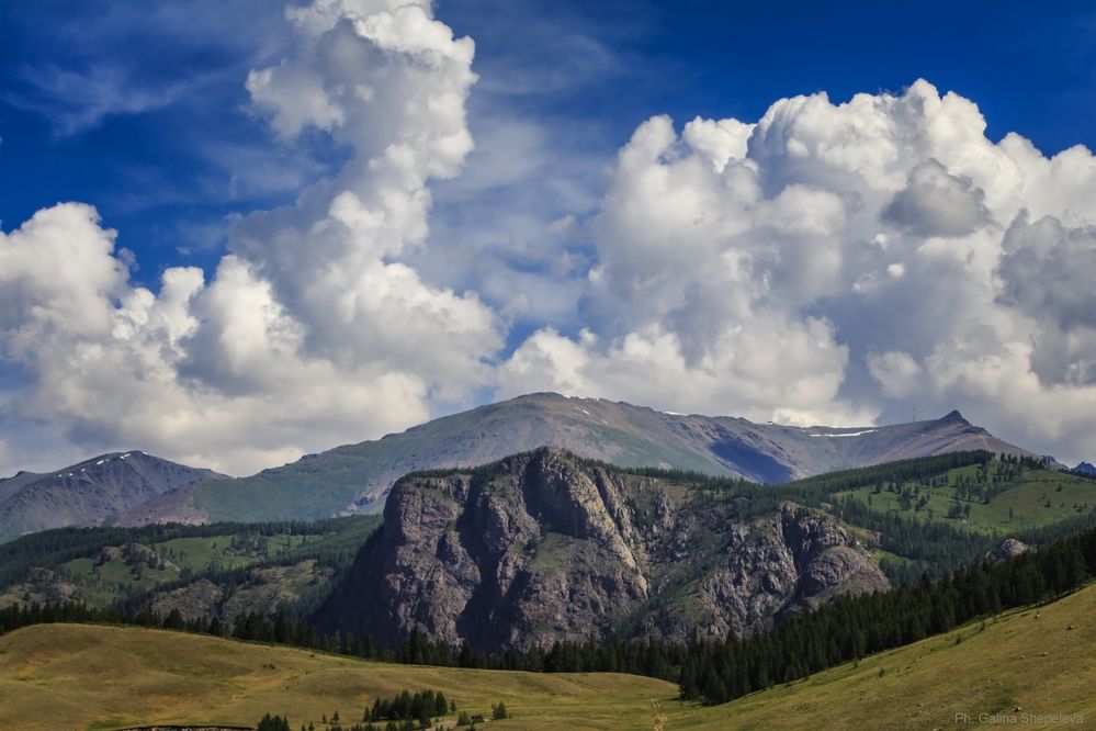 Лето в Горном Алтае.
