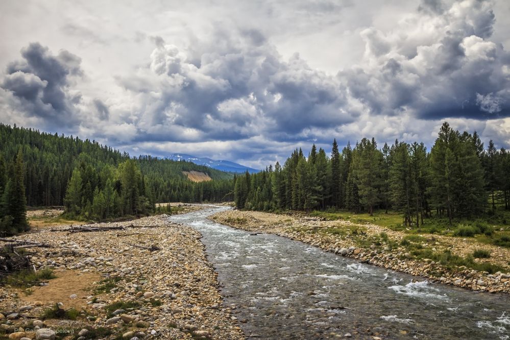 Фотография автора Галина Шепелева