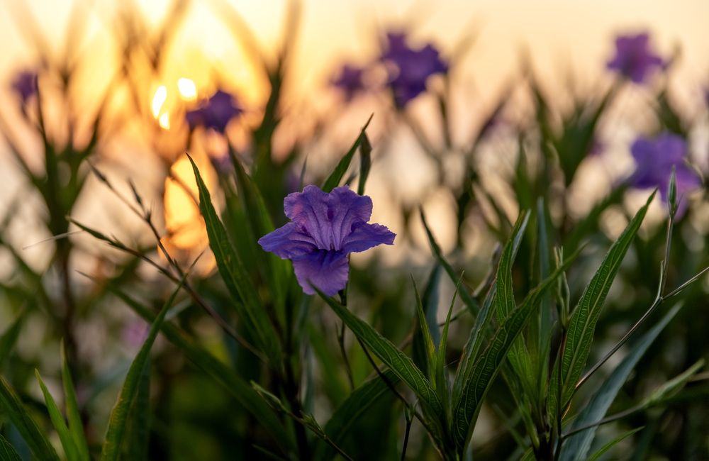 Photograph by Ольга Михайлова