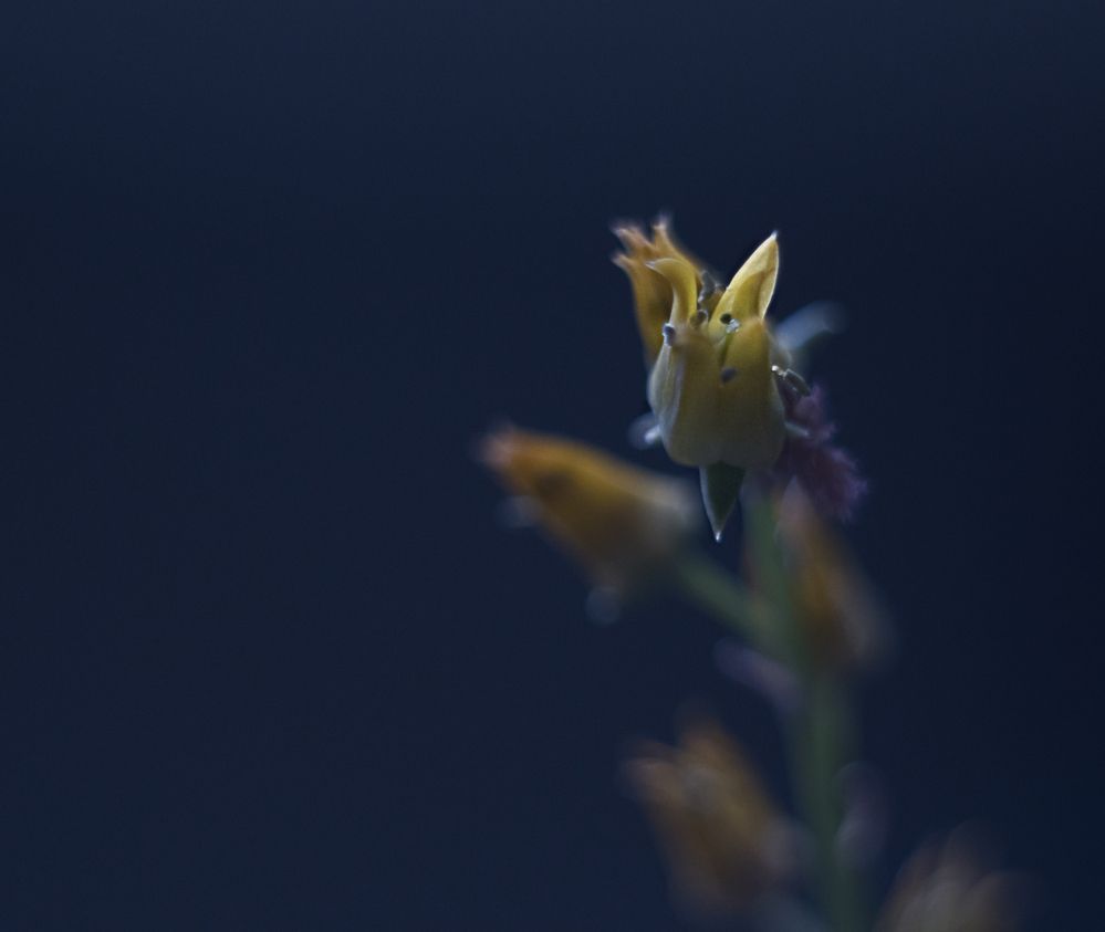 Photograph by Людмила Сарыцина