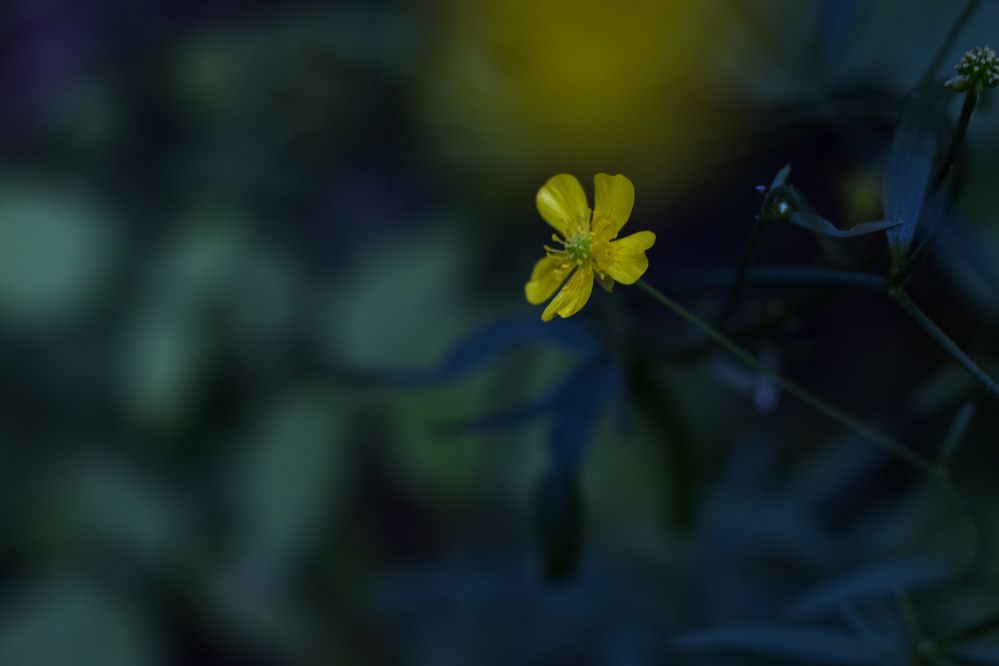 Photograph by Людмила Сарыцина