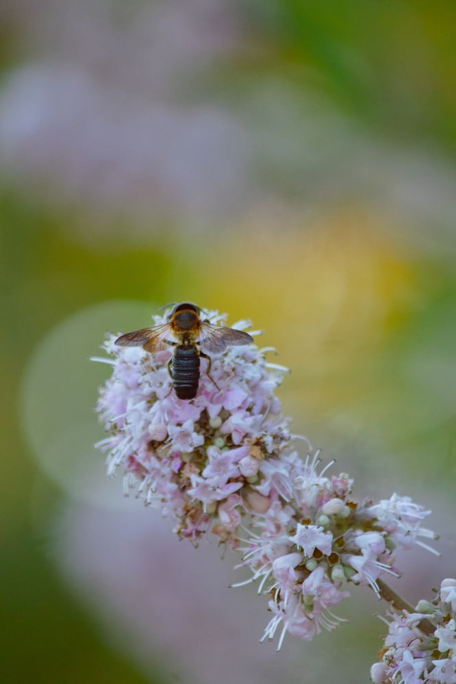Photograph by Екатерина Иванова