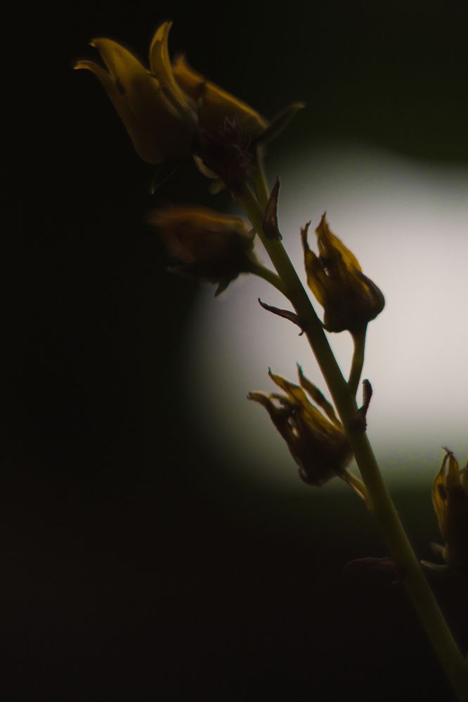 Photograph by Людмила Сарыцина