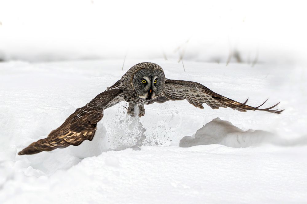 Photograph by Светлана Барабанщикова