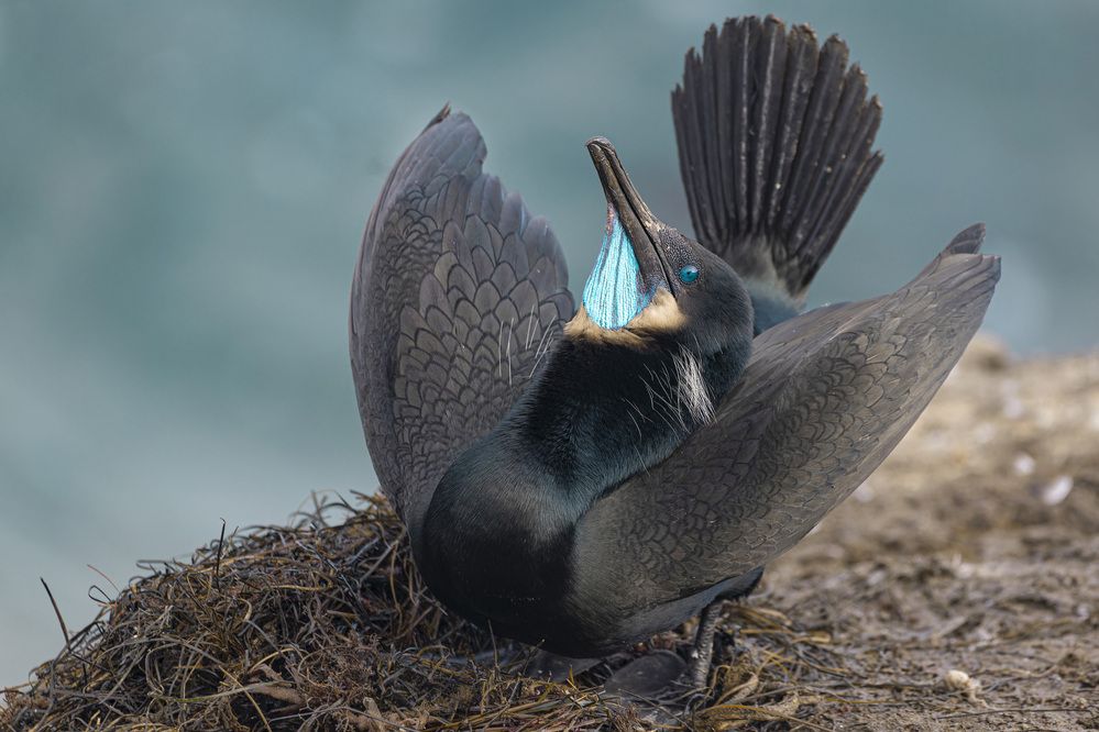 Photograph by Светлана Барабанщикова