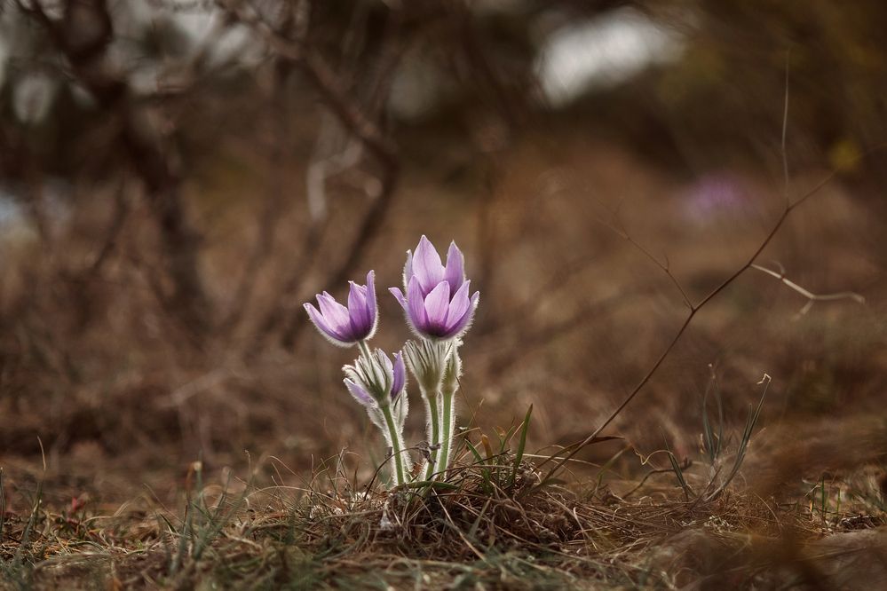 Photograph by Ольга Маковеева