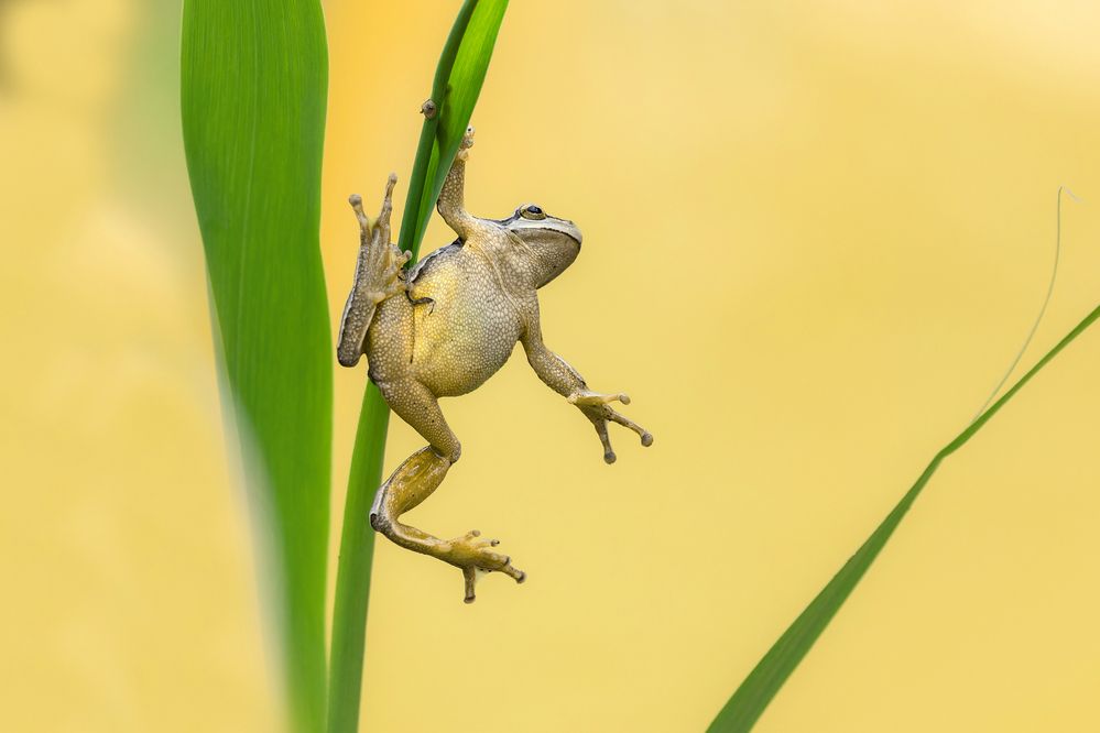 Photograph by Светлана Барабанщикова