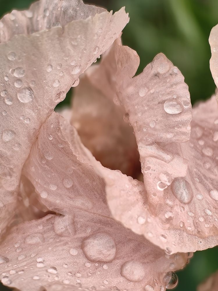 Photograph by OLGA MIKHNEVICH