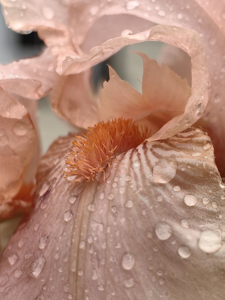 Photograph by OLGA MIKHNEVICH