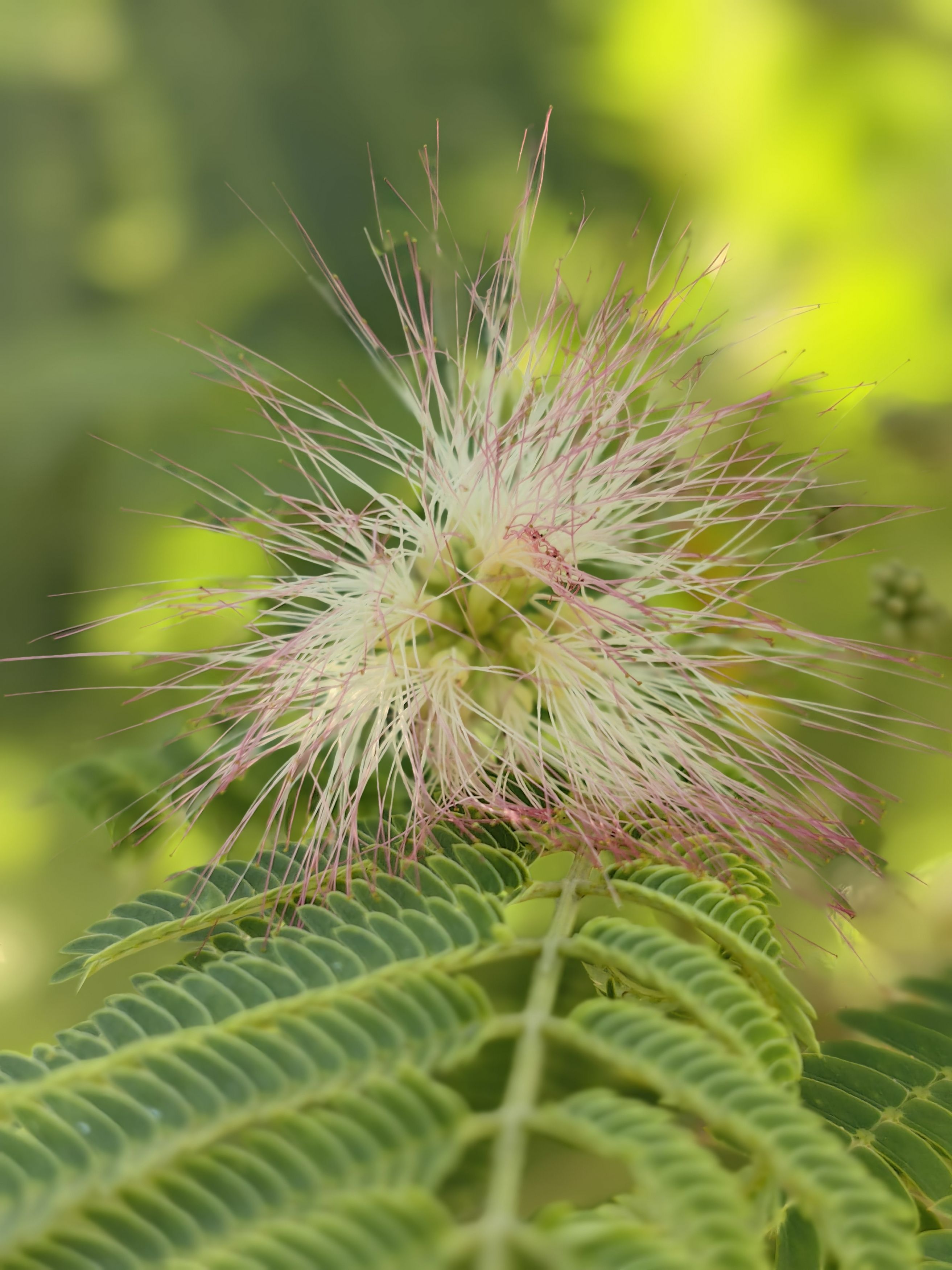 Photograph by OLGA MIKHNEVICH