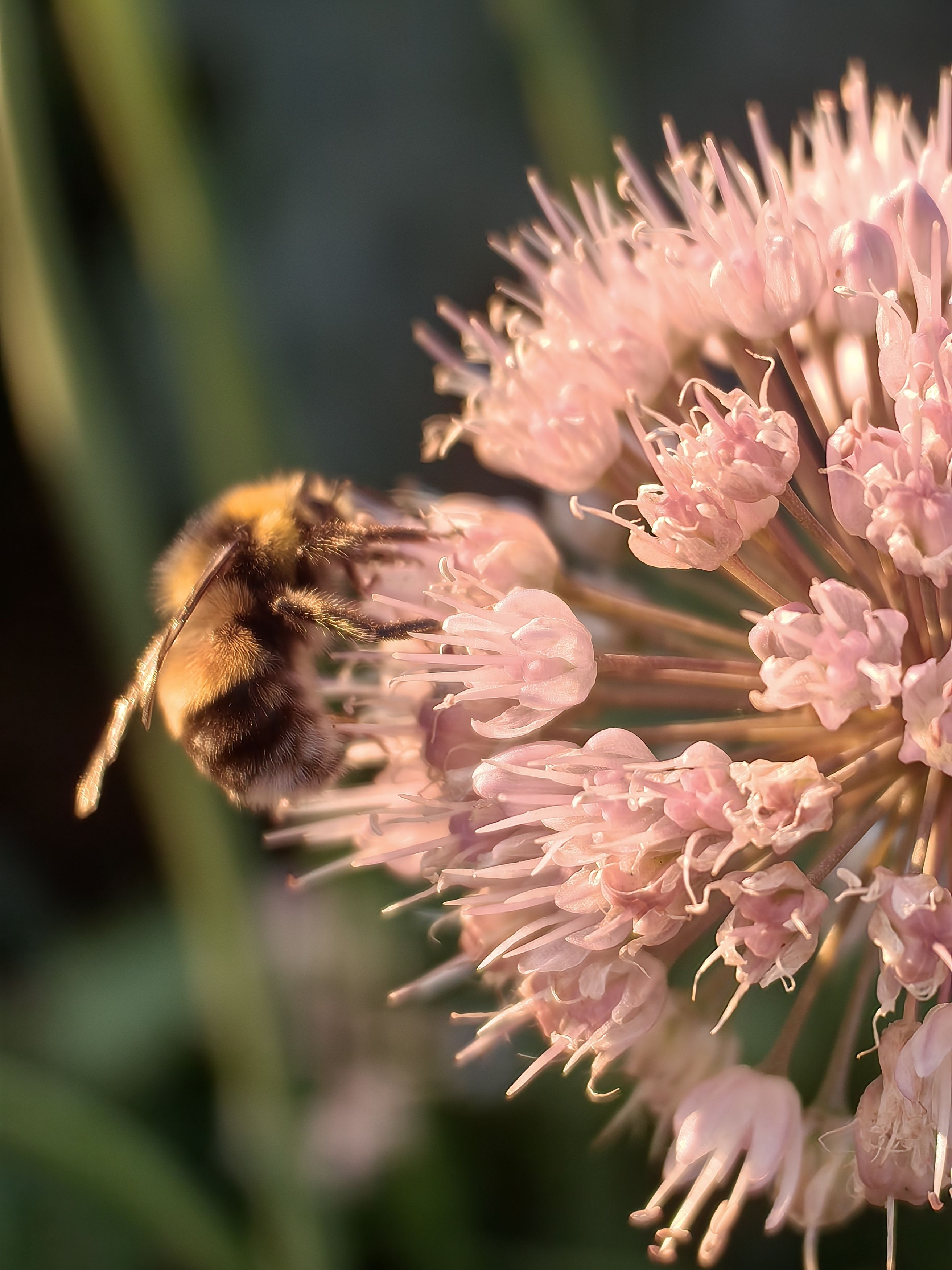 Photograph by OLGA MIKHNEVICH