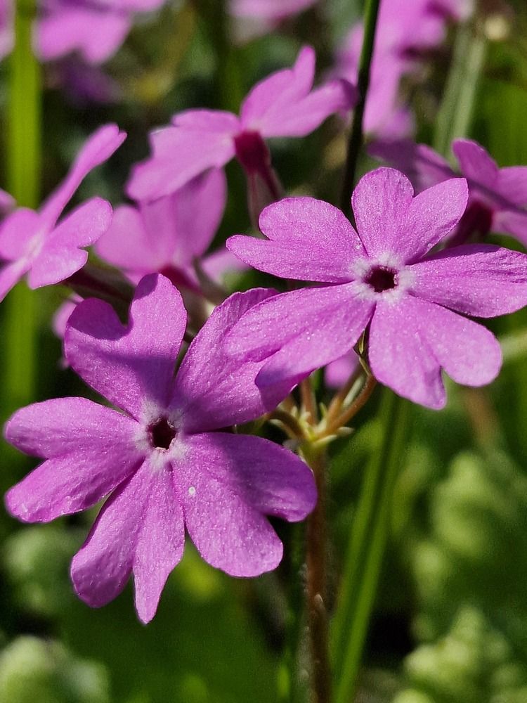 Photograph by Мария Стремина