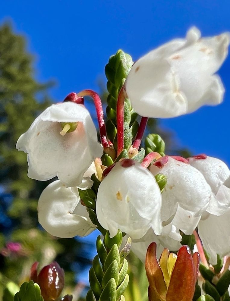 Фотография автора Diana