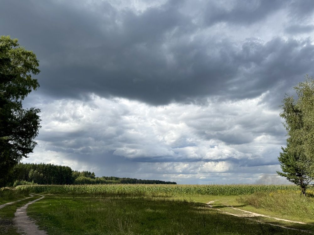 Перед дождем