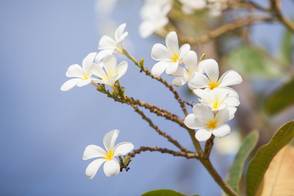 Photograph by Алексей Пирязев