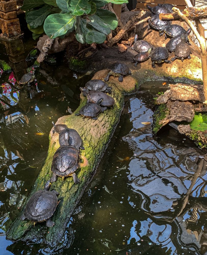 Photograph by Vitalii Kaznin