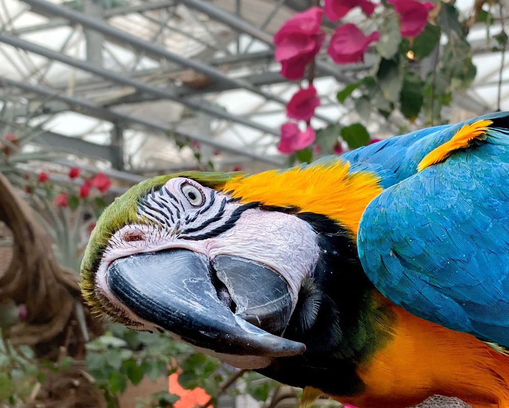 Photograph by Vitalii Kaznin