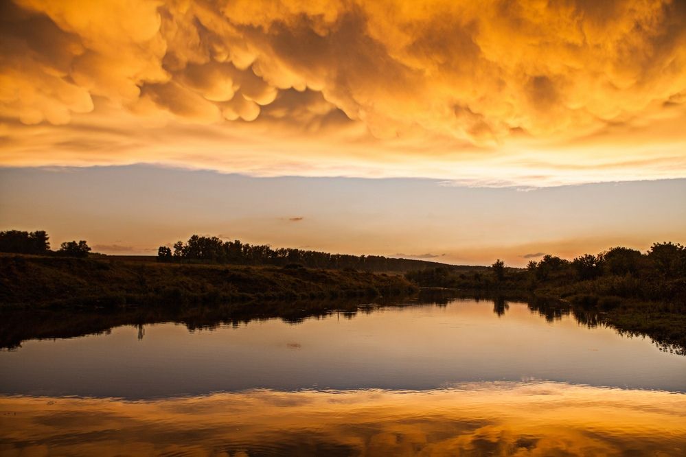 Photograph by Алексей Пирязев