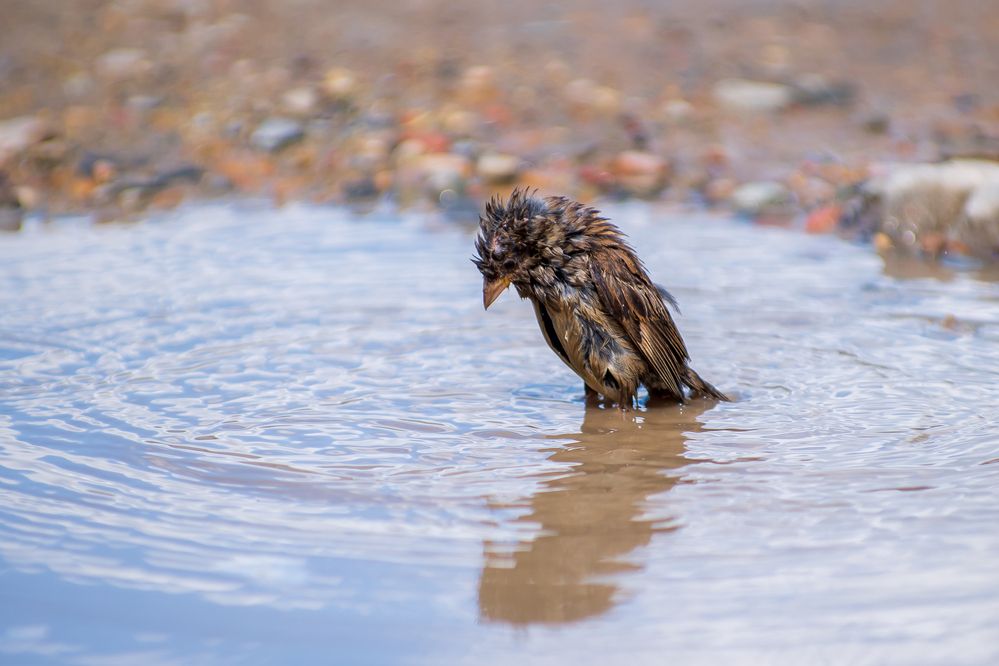 Photograph by Галина Григорьева