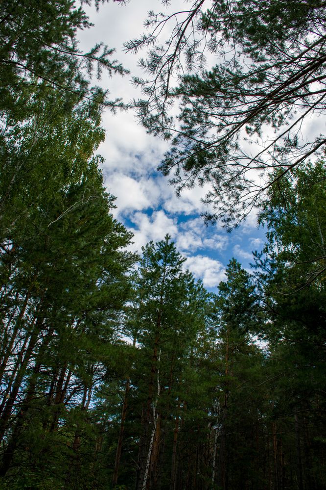 Photograph by Кристина Родина