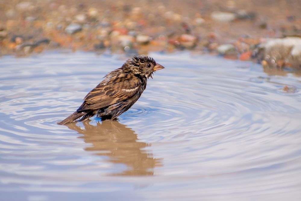 Photograph by Галина Григорьева