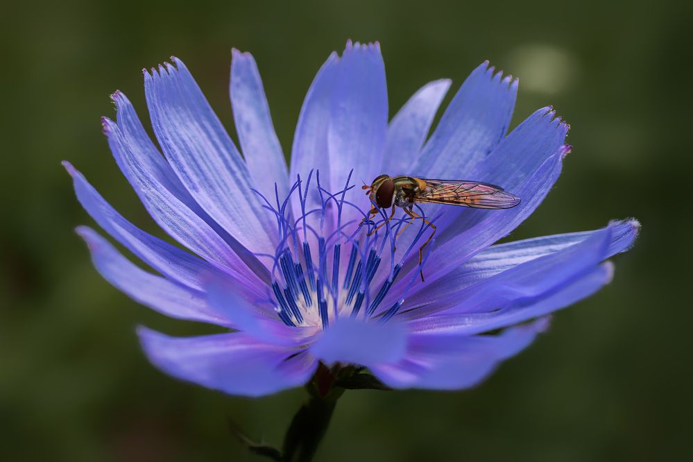 Photograph by Оксана Лупекина