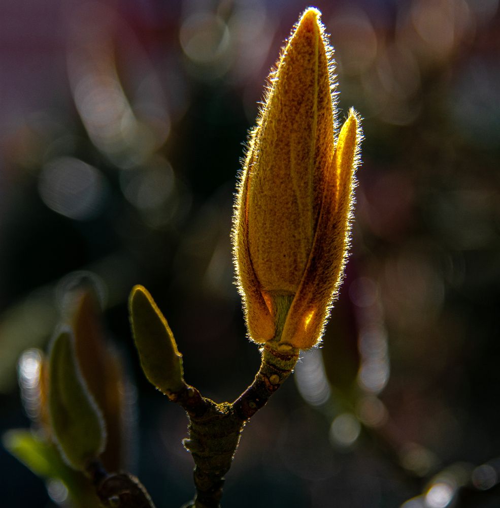 Photograph by Vitalii Kaznin