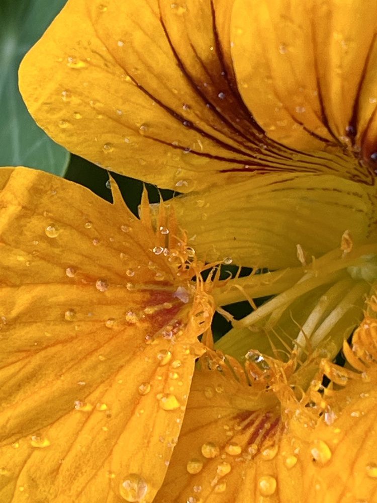 Photograph by Ирина Селиверстова